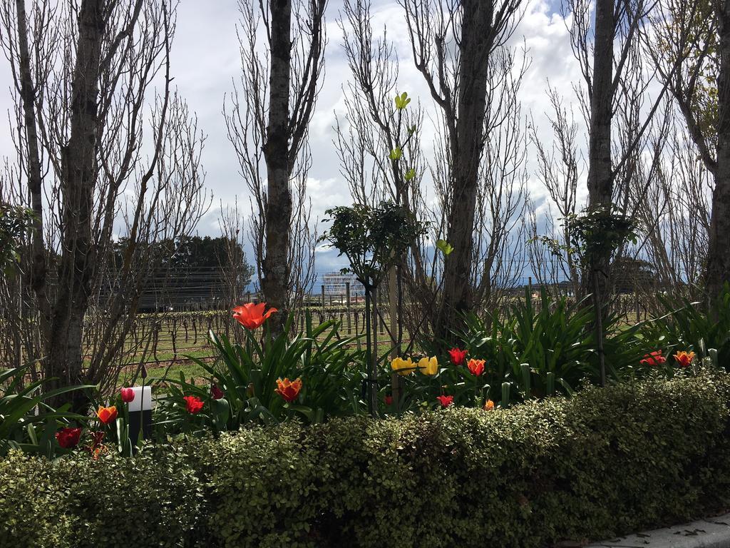 Aylstone Martinborough Hotel Екстериор снимка