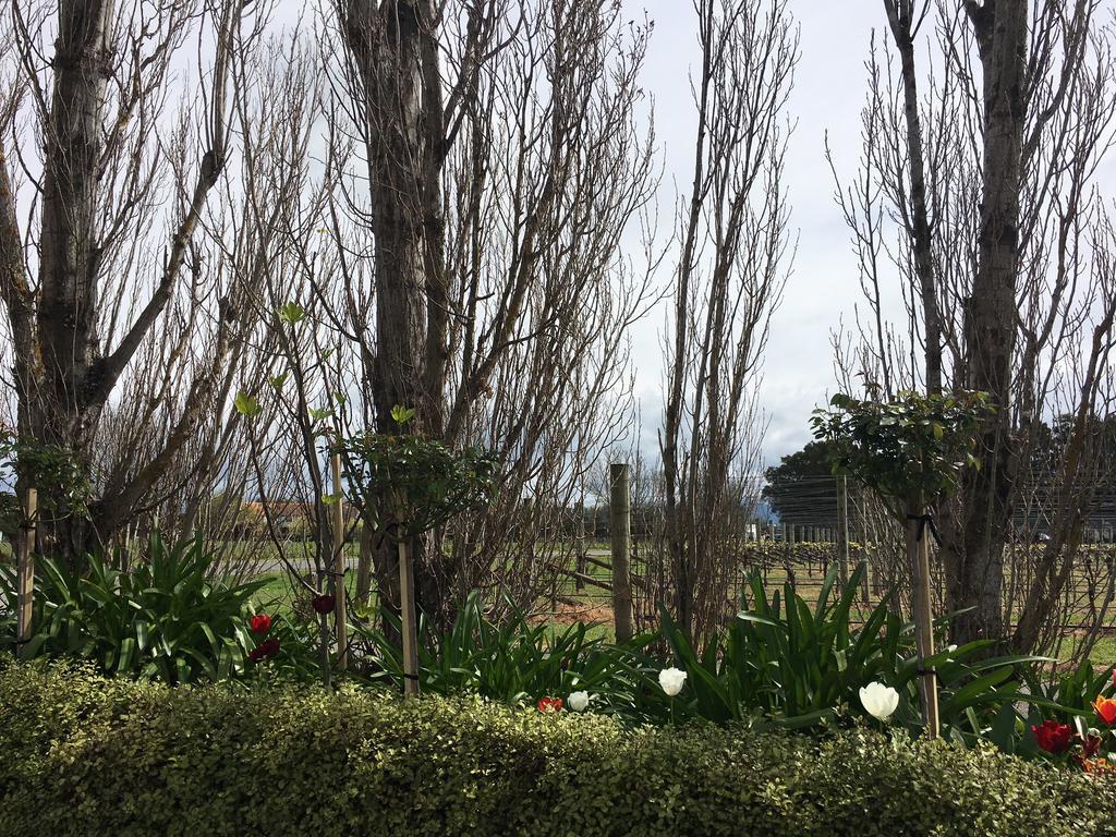 Aylstone Martinborough Hotel Екстериор снимка