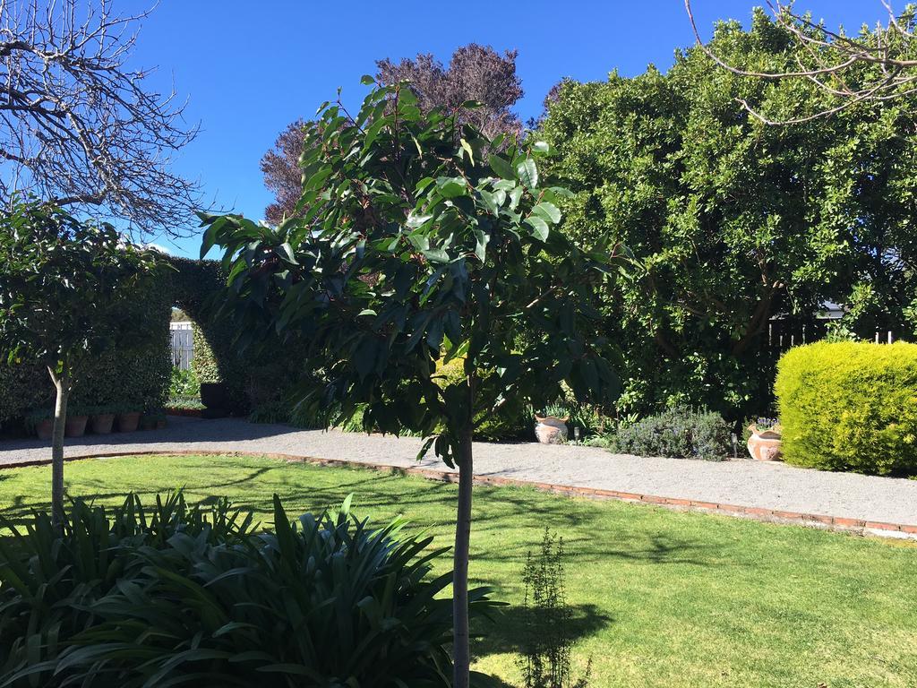Aylstone Martinborough Hotel Екстериор снимка