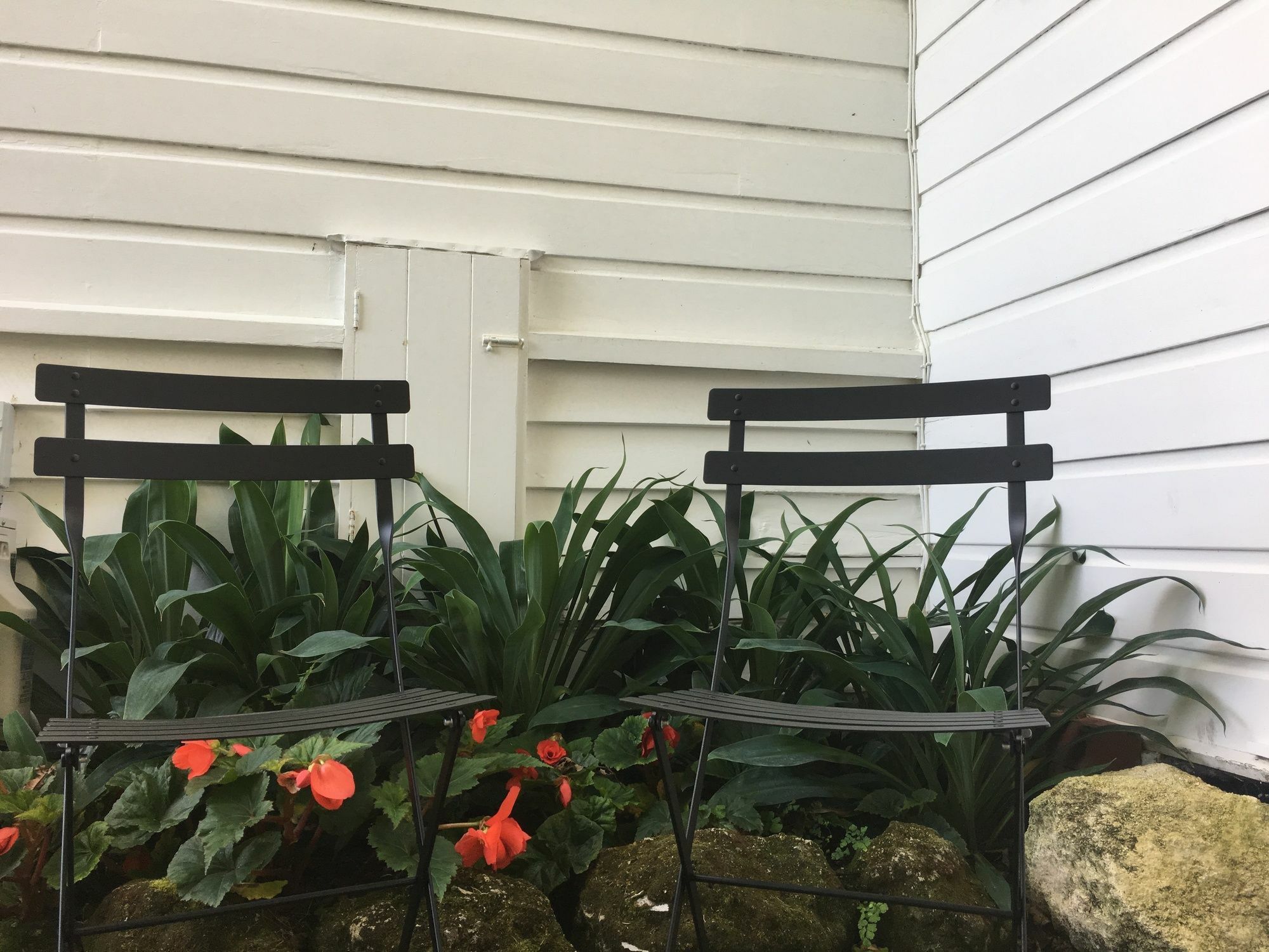 Aylstone Martinborough Hotel Екстериор снимка