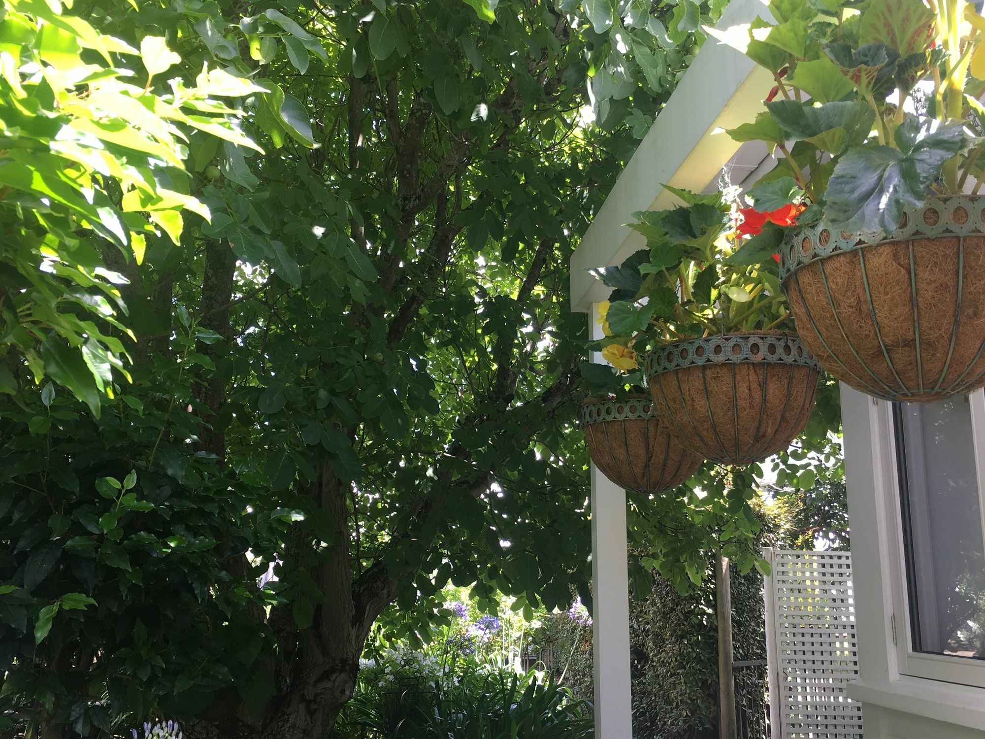 Aylstone Martinborough Hotel Екстериор снимка