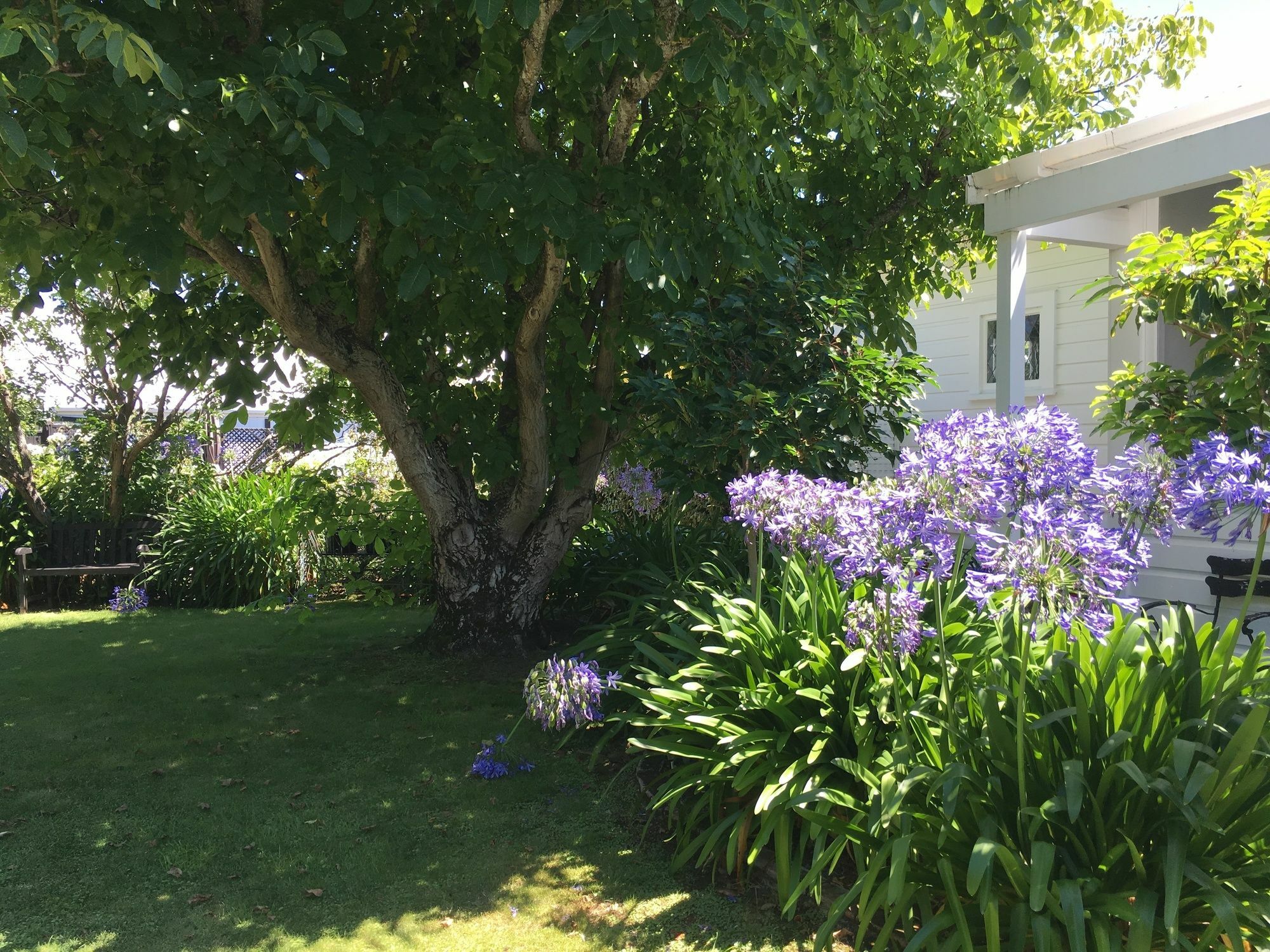 Aylstone Martinborough Hotel Екстериор снимка