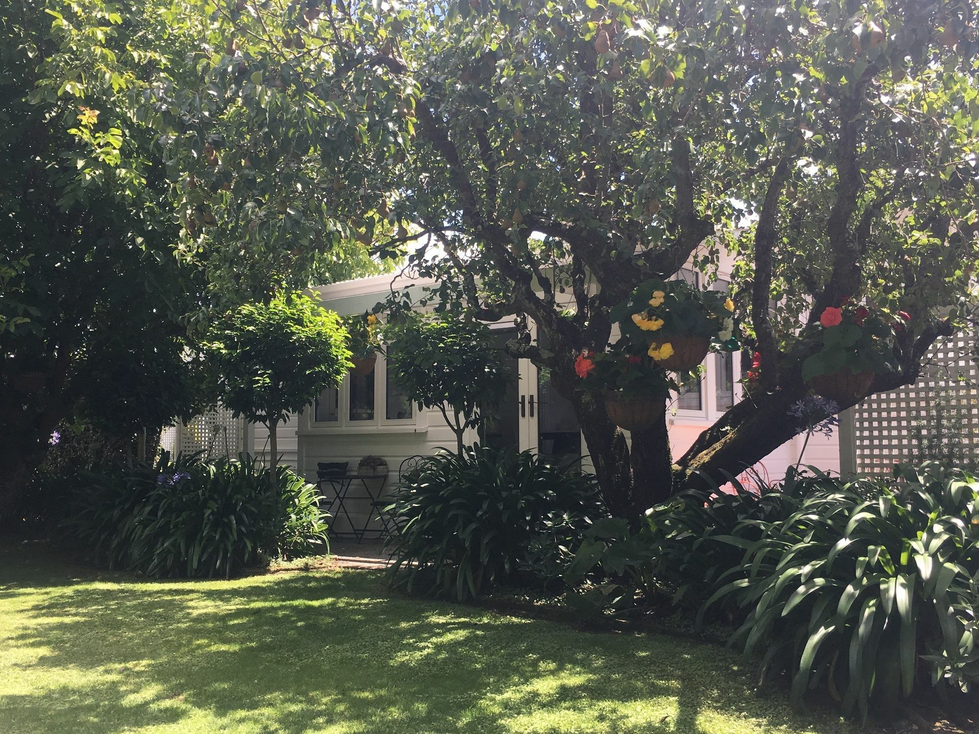 Aylstone Martinborough Hotel Екстериор снимка